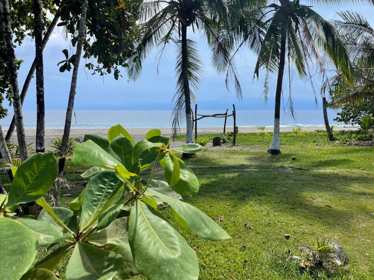 Perla Negra Beachfront Puerto Viejo de Talamanca Luaran gambar